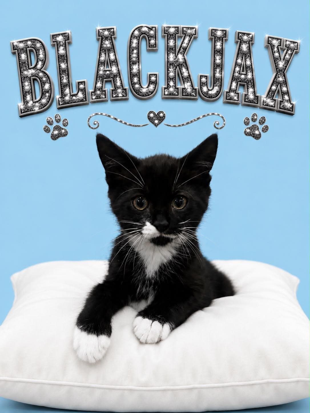 Blackjax Fcid  -  Kdc - Tuxedo