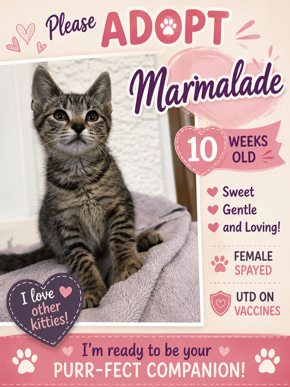 Marmalade Fcid  -