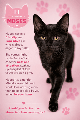 Moses F Fcid  - image 1