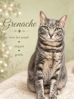 Grenache Fcid  -  Willow Grove image 1