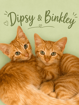 Dipsy  Binkley Bonded Fcid - image 1