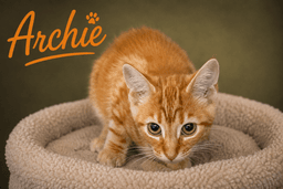 Archie Foster Request Fcid  -  Trainer image 1