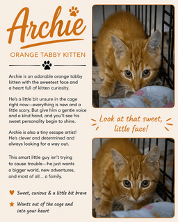 Archie Foster Request Fcid  -  Trainer image 2