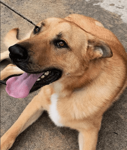 Bodie image 1
