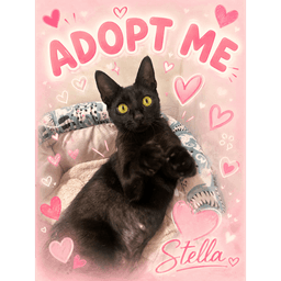 Stella image 1