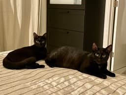 Kika And Breonna image 4