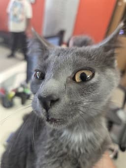 Unknown image 1