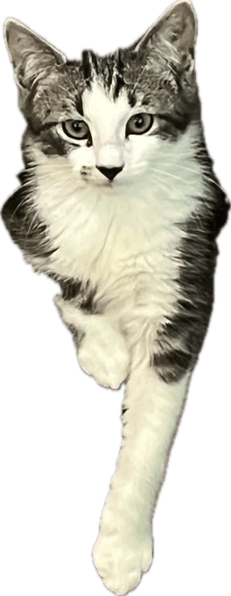 Smudge image 3