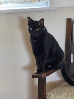 Lenny image 2