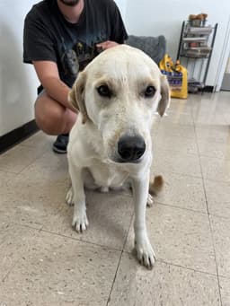 Buddy image 1