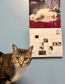 Meggie image 4