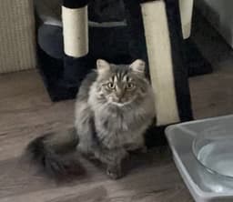 Gabby image 3