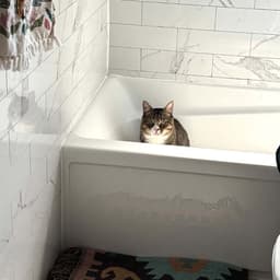 Biggie image 4