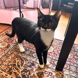 Mildred image 1