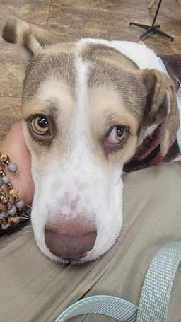 Eddie image 3