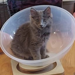 Edgar image 3
