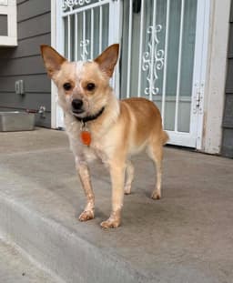 Finnegan image 1