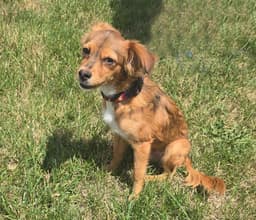 Rollo image 3