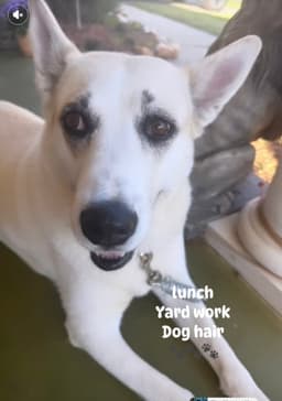 Maggie image 2