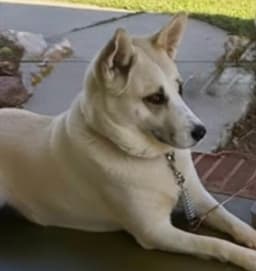 Maggie image 3