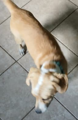 Barney image 3