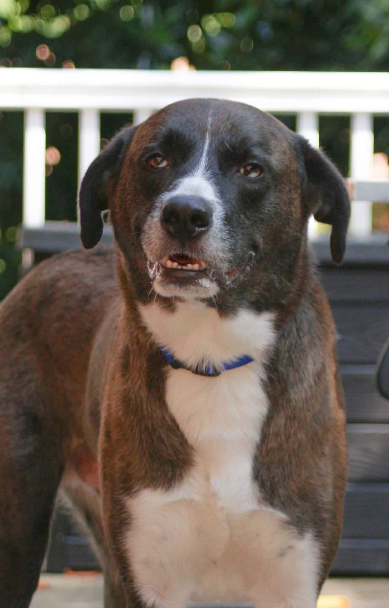 Benny