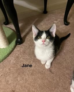 Jane image 3