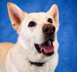 Casper image 1