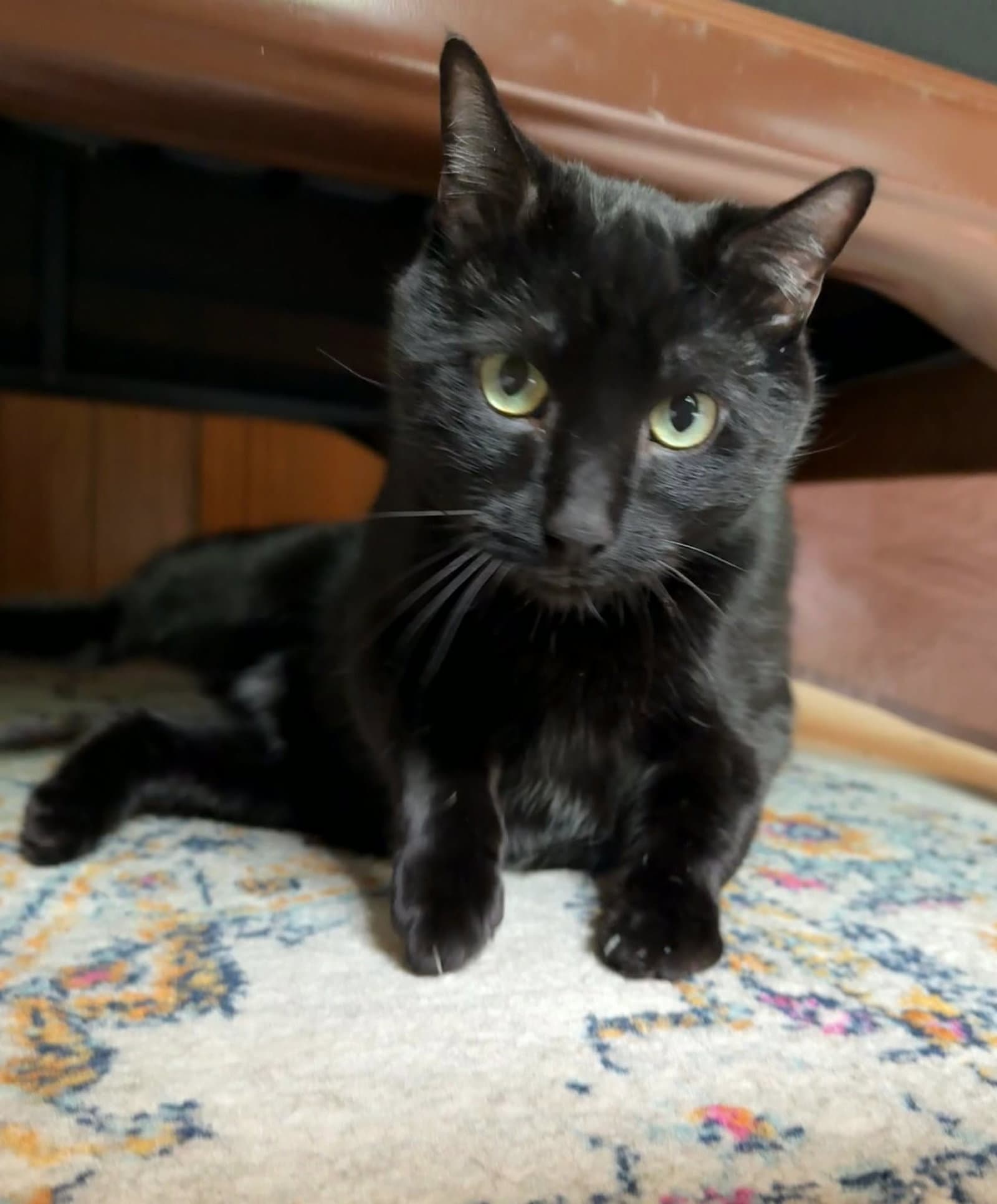 Luna