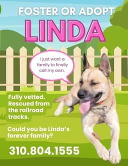 Linda image 1