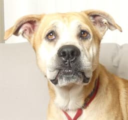 Betty image 1