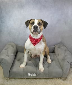 Beth image 3