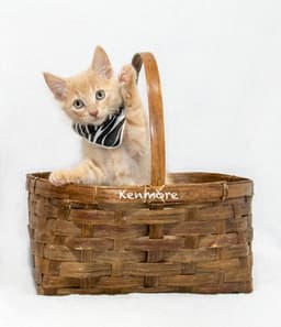 Kenmore image 1