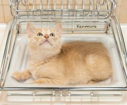 Kenmore image 3