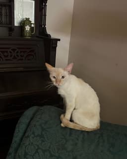 Jocelyn image 3