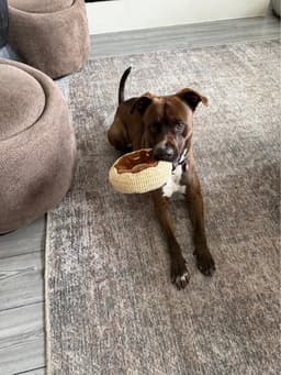 Finn Jamon image 3