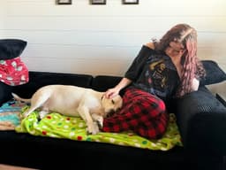 Percy image 3