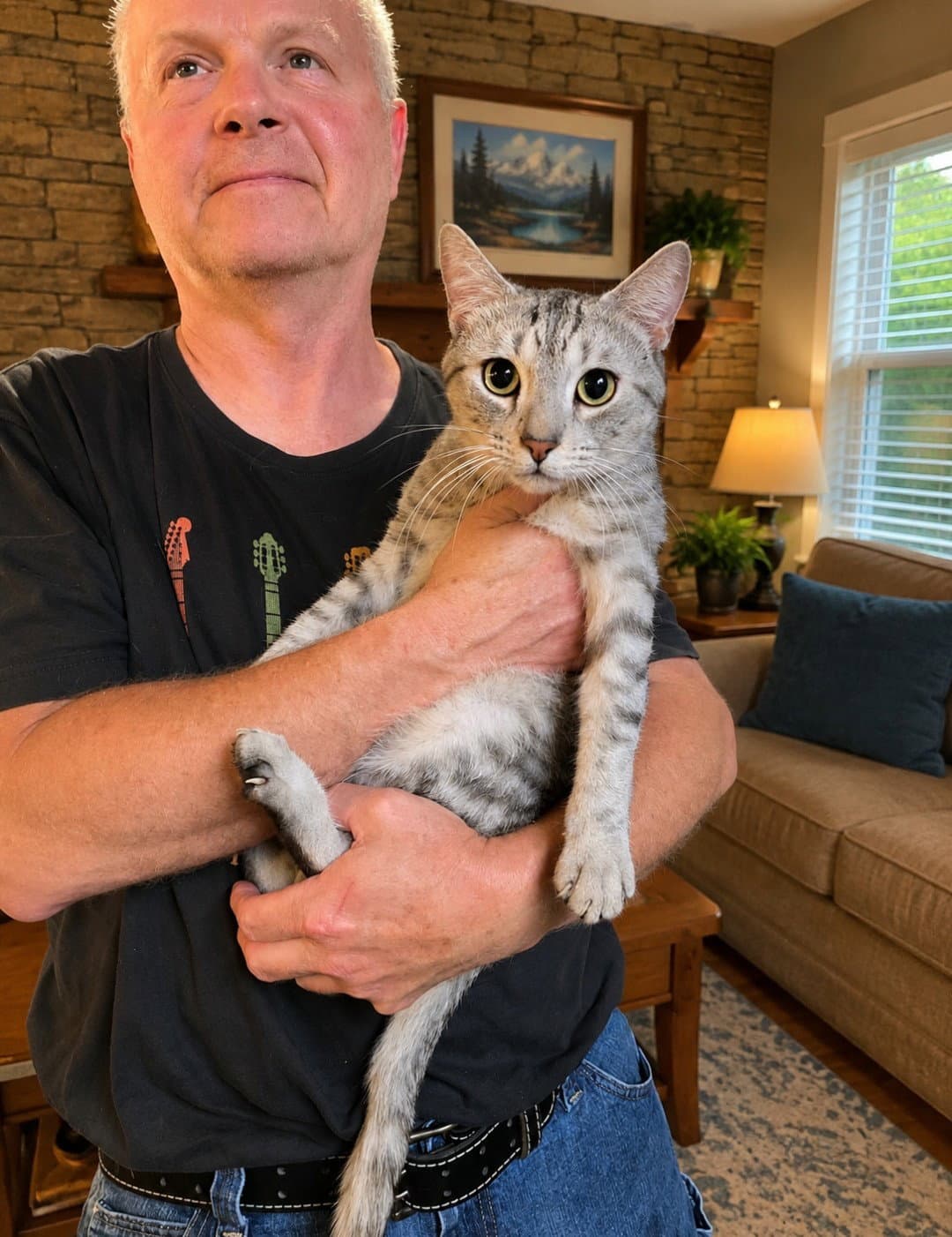 Angel - Domestic Short Hair