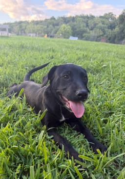 Macy image 2