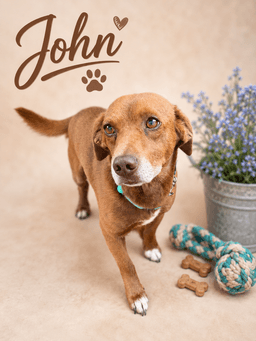 John Faith image 1