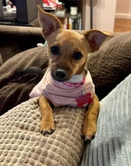 Mabel image 3