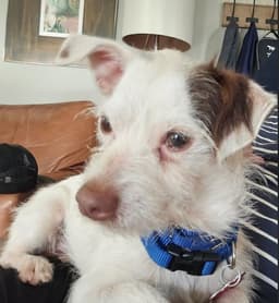 Digby image 3