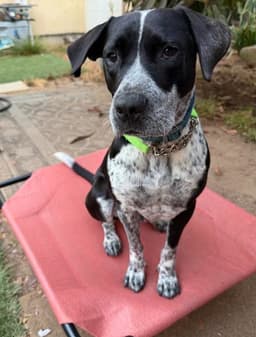 Tucker image 2