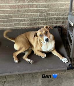 Ben - Beautiful Boy image 2