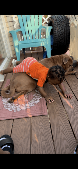 Bruiser image 2