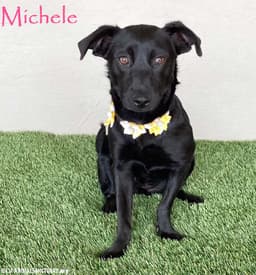 Michele image 1