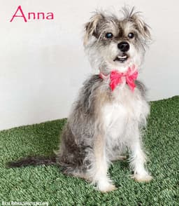 Anna image 1