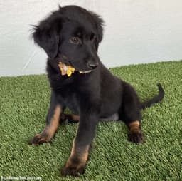 Teegan image 3
