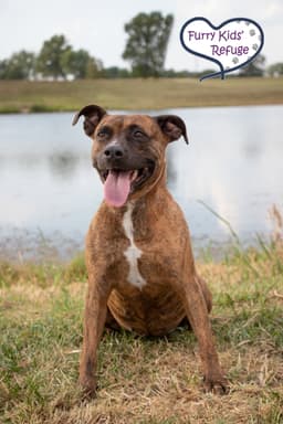 Darla image 4