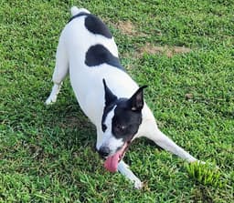Maizy image 2